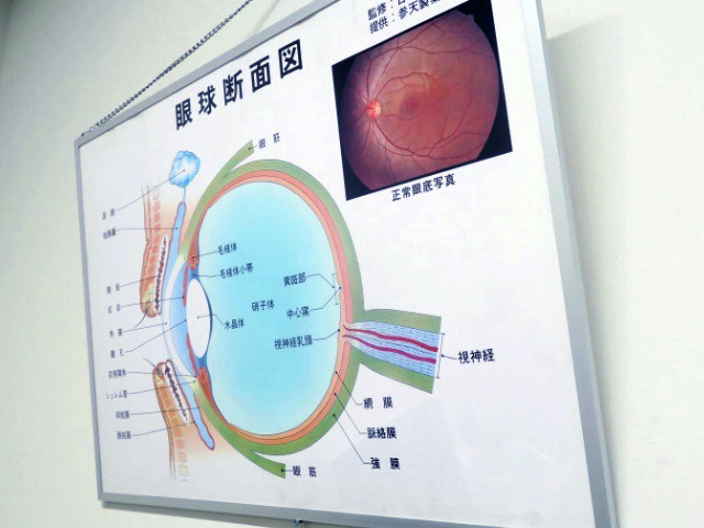 眼科　実施可能な検査