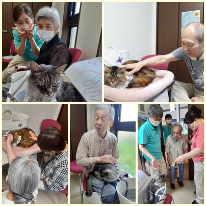 🐈✨アニマルセラピーを楽しみました✨ お知らせ イメージ
